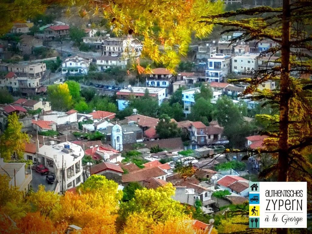 Isminis Petroktisto Holidays Stonehouse Palechori Экстерьер фото