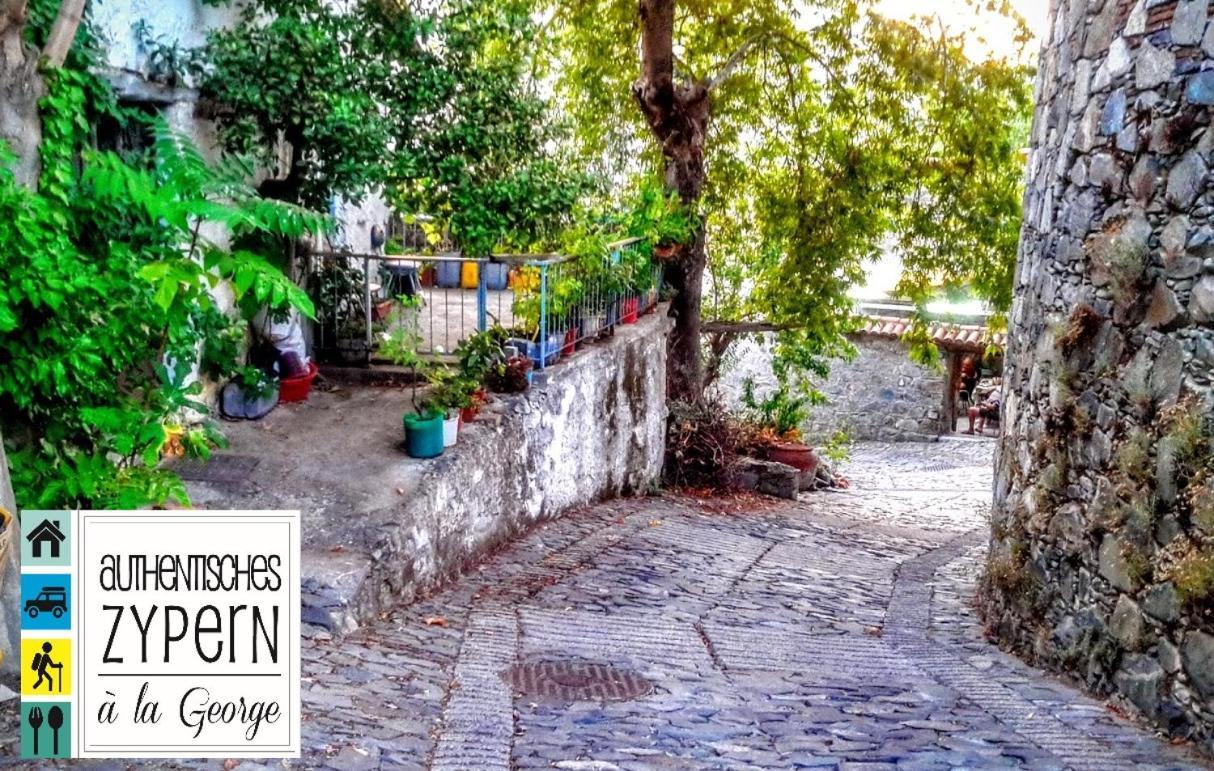 Isminis Petroktisto Holidays Stonehouse Palechori Экстерьер фото